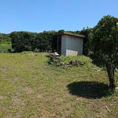 万事屋