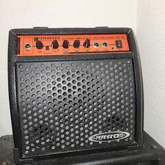 (売約済)SELVAエレキギター&一式の画像