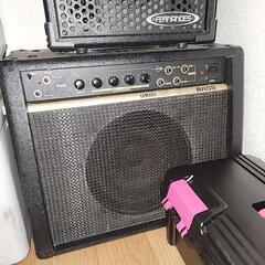 (売約済)SELVAエレキギター&一式の画像