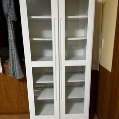 大容量の棚(漫画なら300冊は入ると思います)