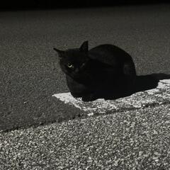 ⚠️探してます⚠️