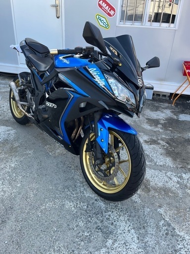 カワサキ　2015年式　ニンジャ250SE フルカスタム