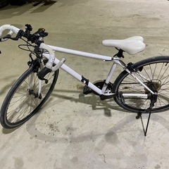 自転車　競輪　ロードレースの画像