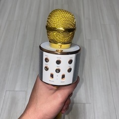 スピーカー、マイク(KARAOKE、Bluetooth)