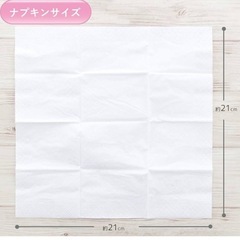 ポケモン携帯スマートティッシュの画像