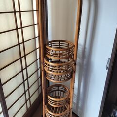 鉢植え　