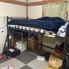 ロフトベット無料でお譲りします。