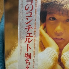 堀ちえみ　雪のコンチェルト　レコードの画像