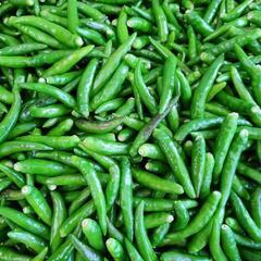 青唐辛子　1kg