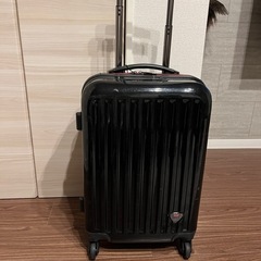 キャリーバック(決まりました)の画像