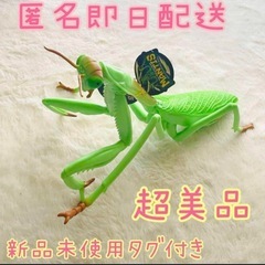 MANTIS リアルビッグサイズフィギュア　カマキリ