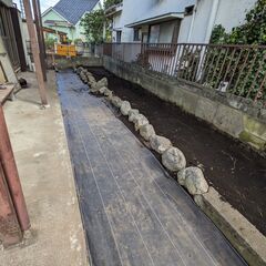 ★庭石★譲渡会開催中　テラリウムにいかがでしょうか？