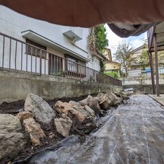 ★庭石★譲渡会開催中　テラリウムにいかがでしょうか？の画像