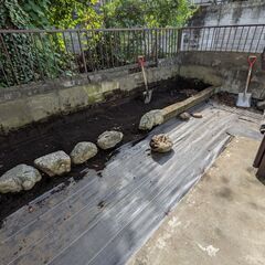 ★庭石★譲渡会開催中　テラリウムにいかがでしょうか？の画像