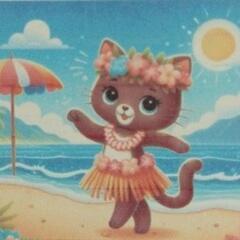 フラダンスサークル🌺お仲間募集中