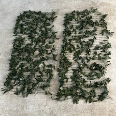 生活雑貨 家庭用品 ガーデニングの画像