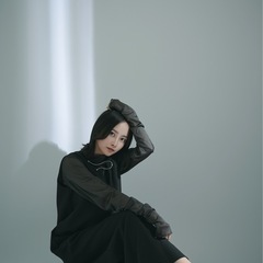 Nikon 24-70 F4  Zマウント フルサイズの画像