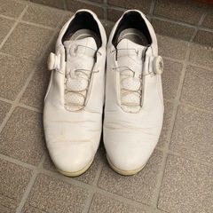 PUMAゴルフジュース