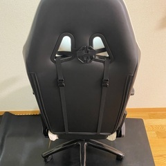  AK Racing Nitro V2 　の画像