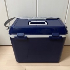 【受け渡し予定あり】カインズ　クーラーボックス　25Lの画像