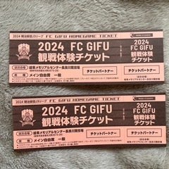 2024 FC岐阜 観戦体験チケット メイン自由席 2枚