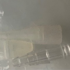 スマイルキュートの画像