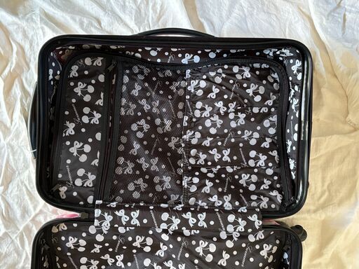 スイマーswimmer キャリーケース※鍵なし45×30×20 くらいSサイズ (cyndi