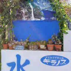 還元水量り売り💧