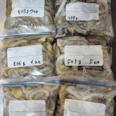 🐙シガヤーダコ（ウデナガカクレダコ）500g　釣餌用　打込み・投釣り　釣果画像あり　残り僅かの画像