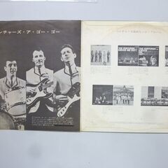 ベンチャーズ　レコードの画像