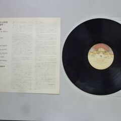 ドナサマー　レコードの画像