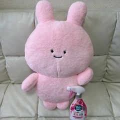 大きいぬいぐるみの画像