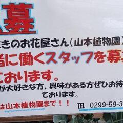 茨城町のどきどきファーム花屋さんの
