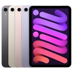 iPad mini6 -256GB