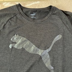 プーマ　Tシャツの画像