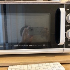 電子レンジ