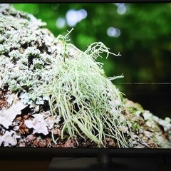 パナソニック　液晶テレビ　TH-L42E60