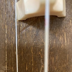 琴の画像