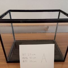 取引完了　【中古】小型の水槽A　※投稿記事を全て読まれてから問い合わせをお願いします。の画像