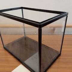 取引完了　【中古】小型の水槽A　※投稿記事を全て読まれてから問い合わせをお願いします。の画像