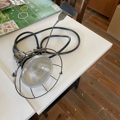 ジャンクスポットライト