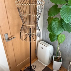 クラッシックトルソー★usedの画像