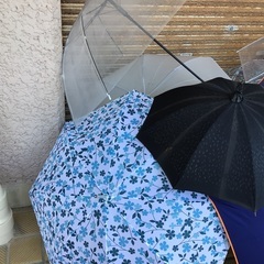 傘まとめてセット　置き傘　10本