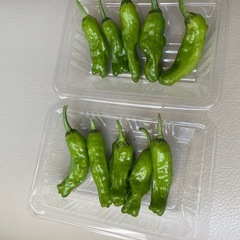 完売有難うございました！！！！！【今期の最終収穫です】無農薬栽培...