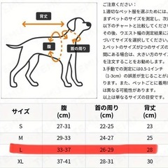 【new】かわいい♡ くすみグリーン　犬　猫　服 Lサイズの画像