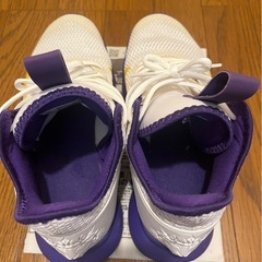 NIKEレヴロンの画像