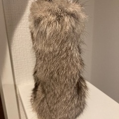 ショルダーバッグの画像