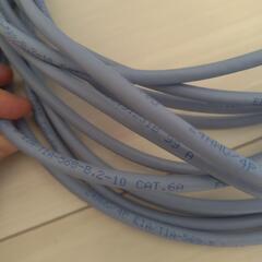 LANケーブル CAT6A 10mの画像