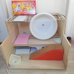 ハリネズミ　飼育ゲージ　スターターセットの画像