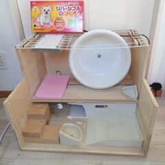 ハリネズミ　飼育ゲージ　スターターセットの画像